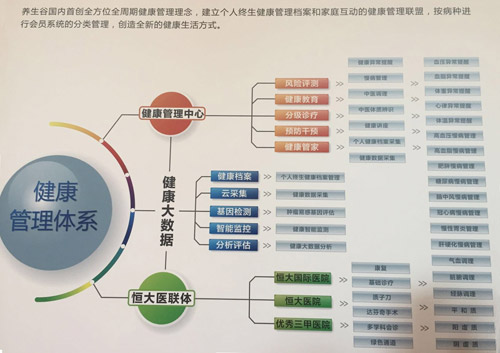 恒大养生谷亮相 打造"全方位、全龄化"健康管理